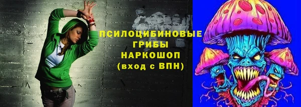прущая мука Абаза