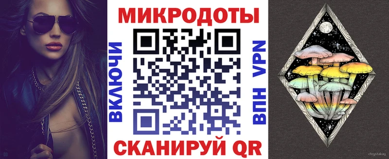 наркота  Черноголовка  Псилоцибиновые грибы Cubensis 